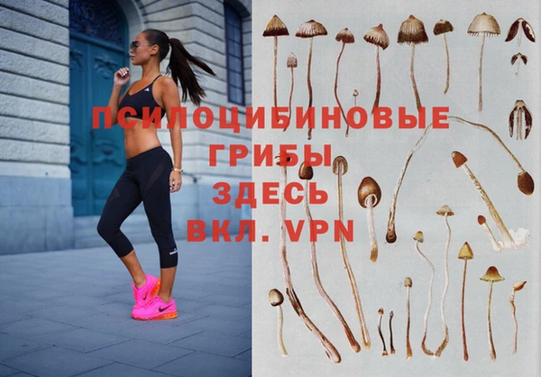 MDMA Алзамай