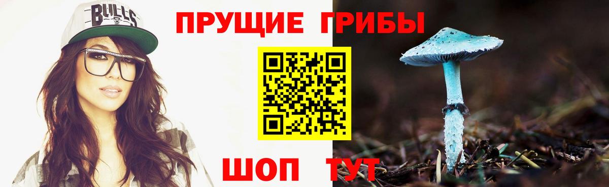 Набережные Челны  где найти наркотики  Вход с VPN  Псилоцибиновые грибы Cubensis 